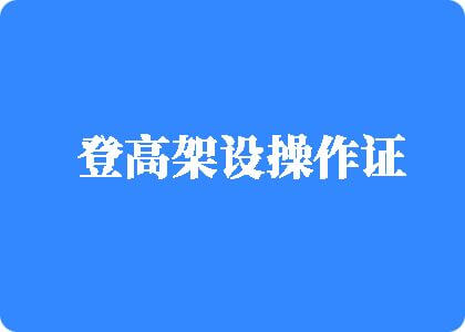 逼操逼登高架设操作证